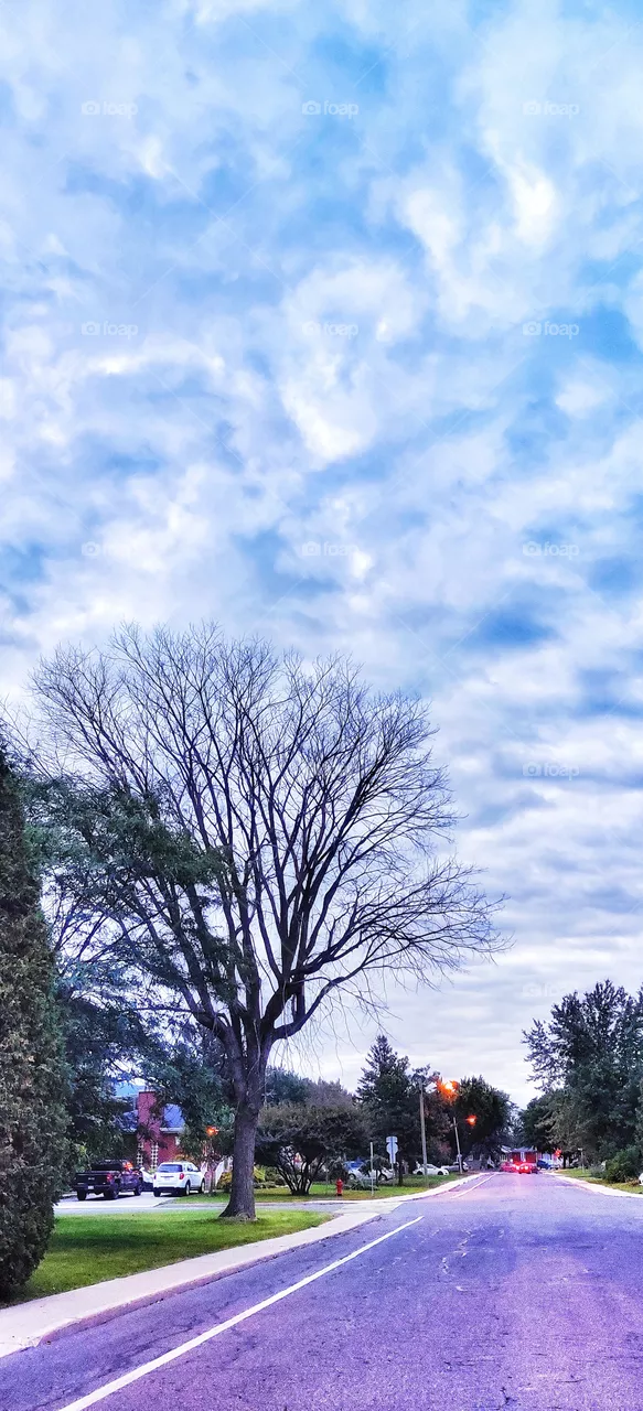 Morning walk