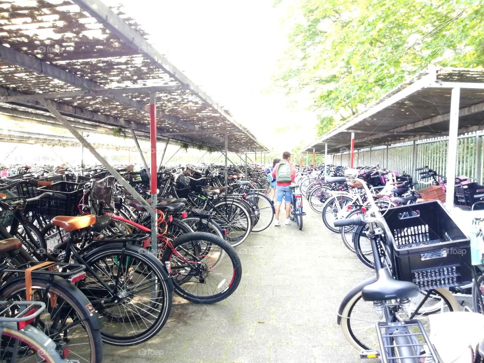 Everyone came to school with their bikes and it's full!