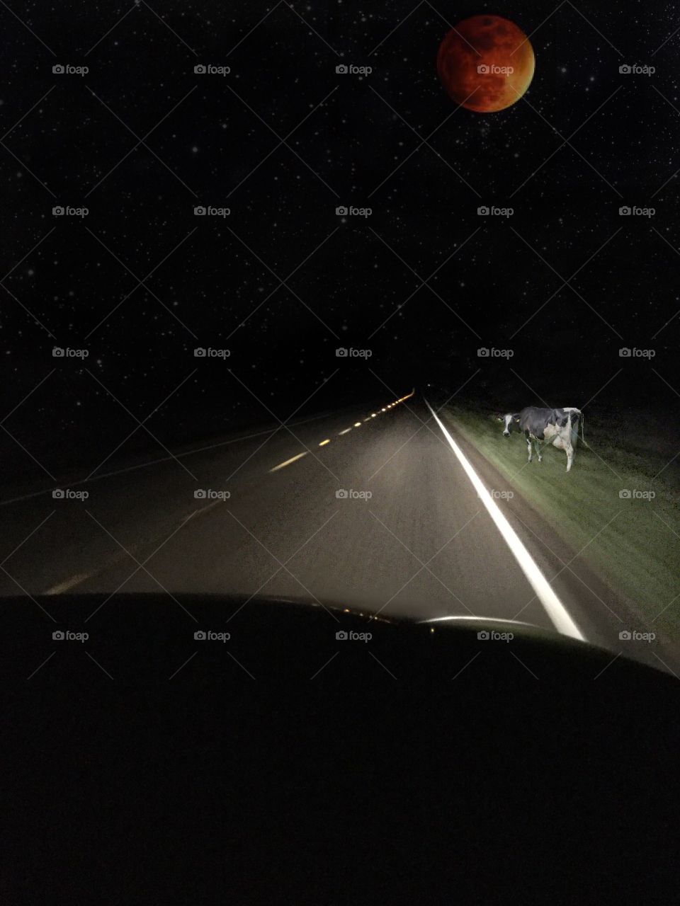 Driving on a country road at night