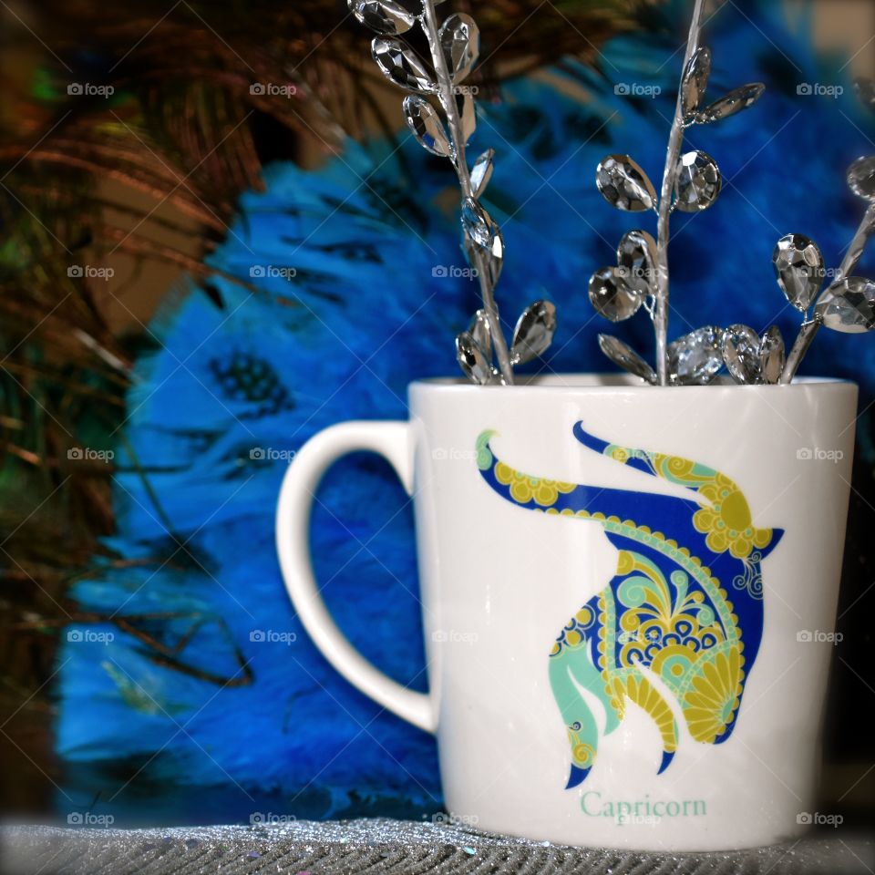 Capricorn Mug 
