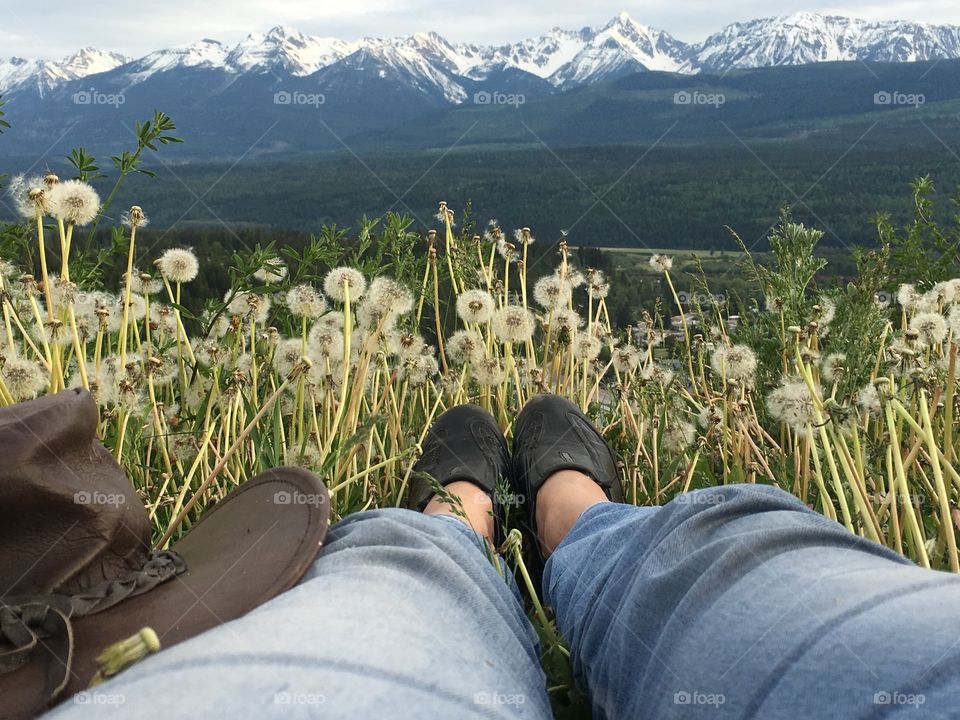 My point of view from an alpine meadow looking over a valley toward the beautiful and majestic snow capped peaks of the Canadian Rocky Mountains. 