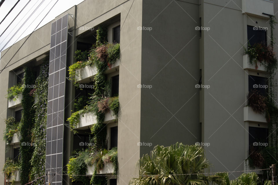 Concrete and nature/Concreto e natureza.