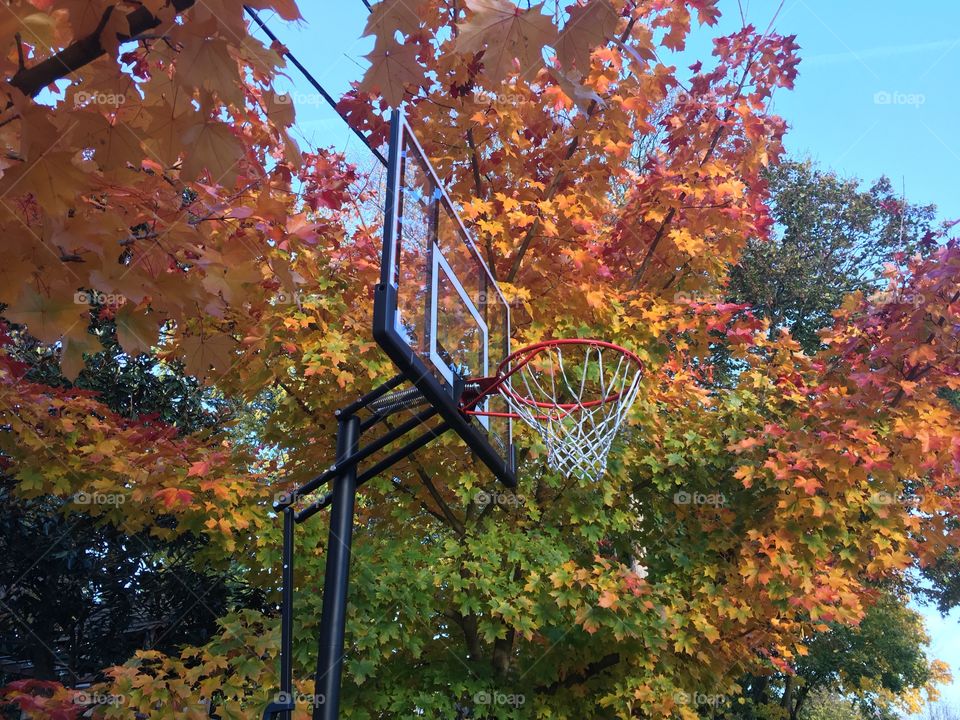 Autumnal Hoops