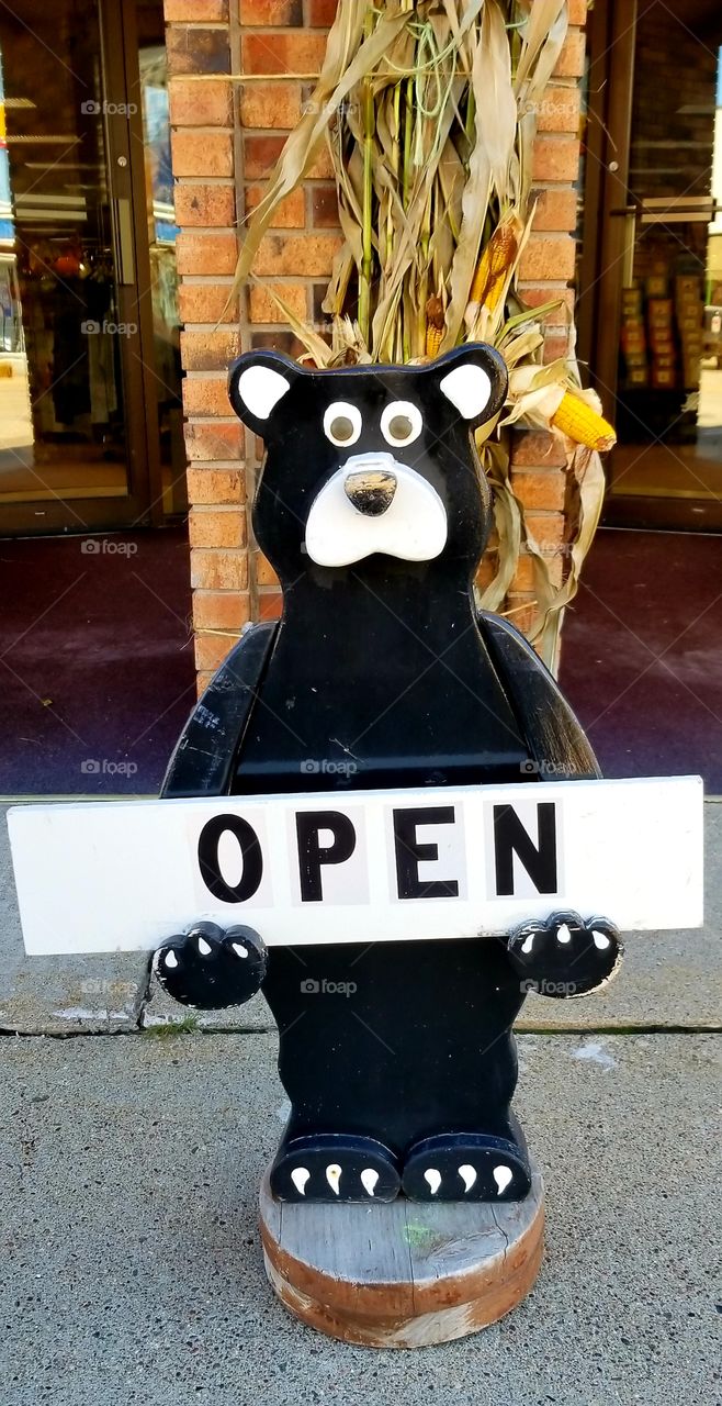 Black Bear holding an open Storefront sign