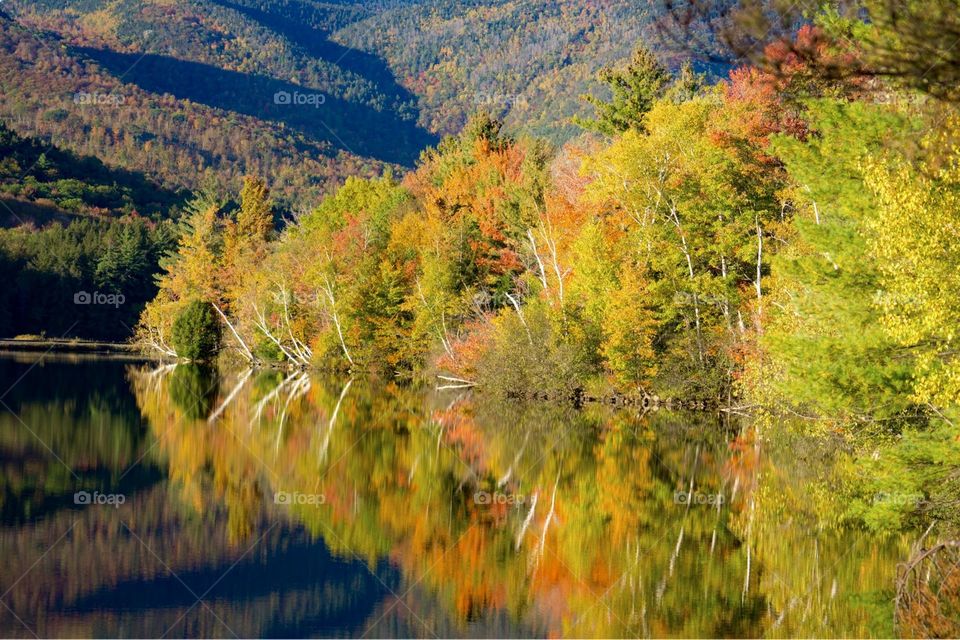 White Mountains in Autumn