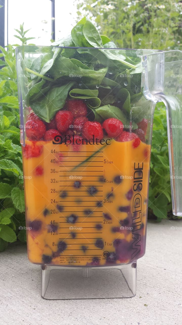 Blendtec Pre-Smoothy