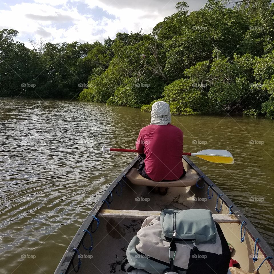 canoeing on telegraph Creek just outside everglades national park.
