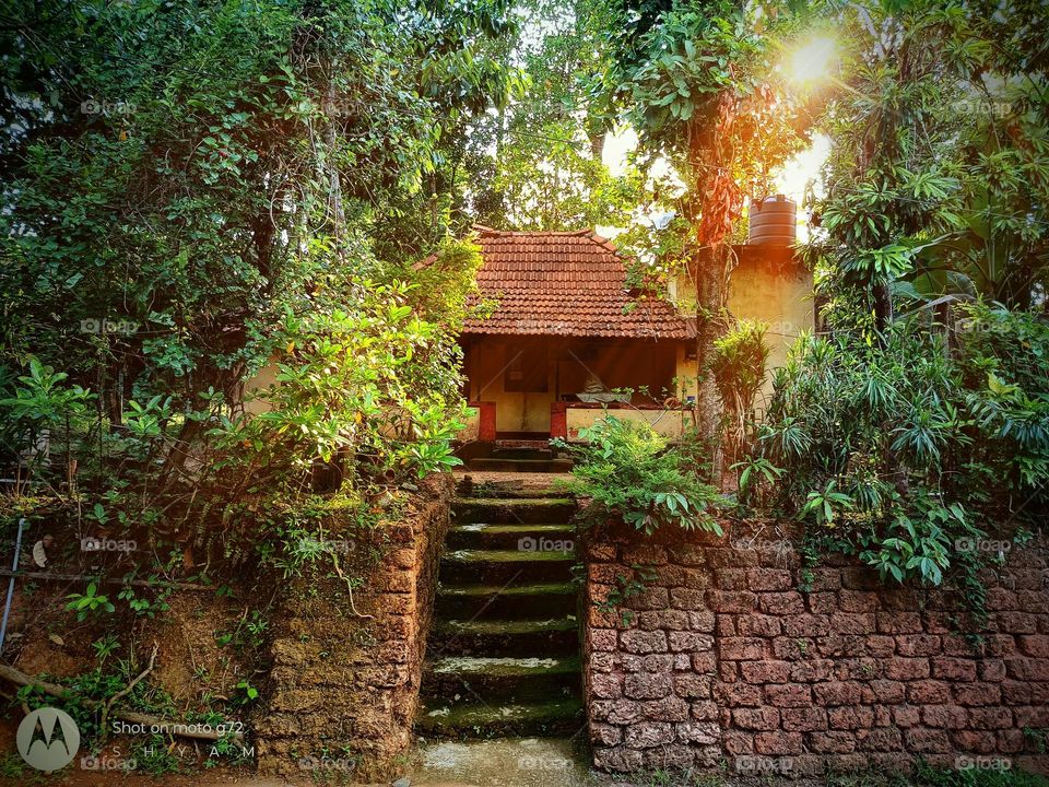my dreamy kerala