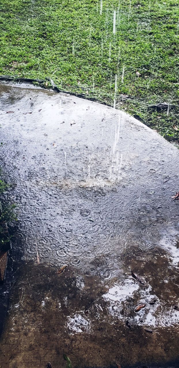 pavement raindrops water grass