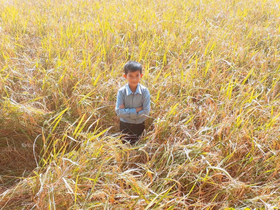 My Boy in Paddy Field