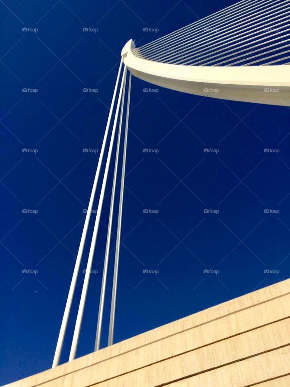 Detail from the structure at the City of Arts and Science in Valencia, Spain showing deep blue clear sky against a striking contrast of the white steel.