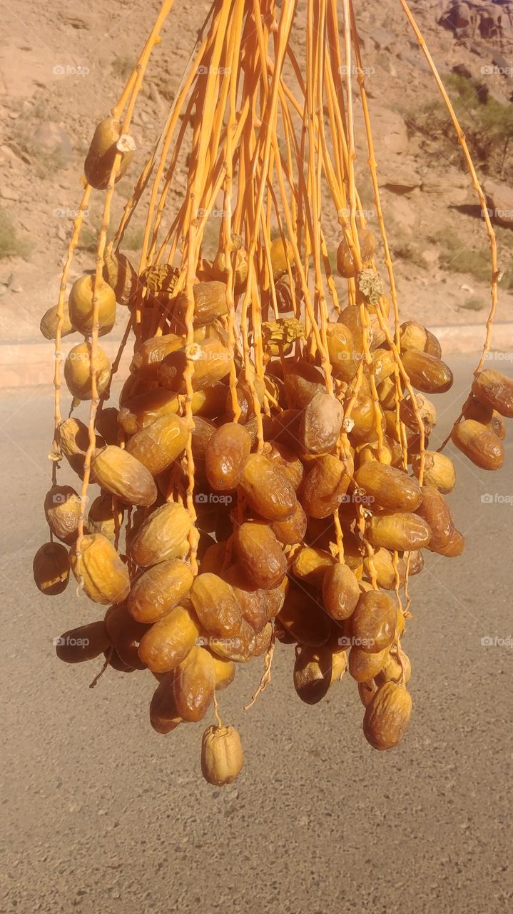 Dates "Agrass"