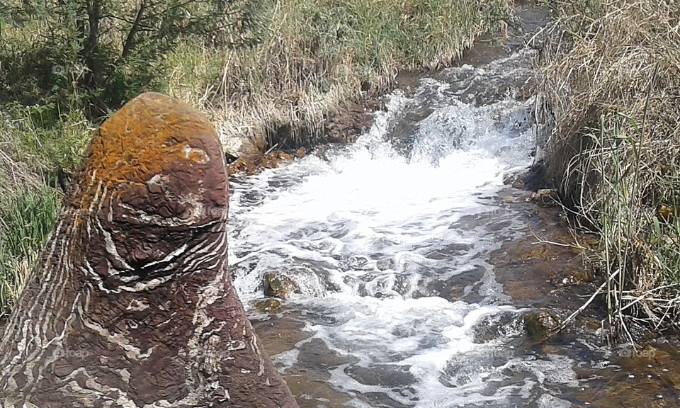 Krugersdorp Game Reserve