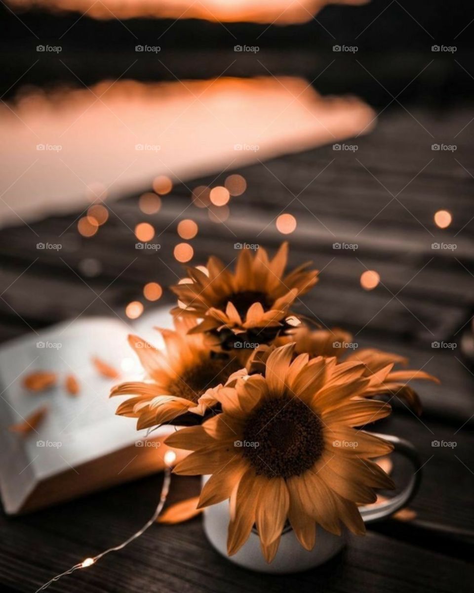 Beautiful 🌸 flower