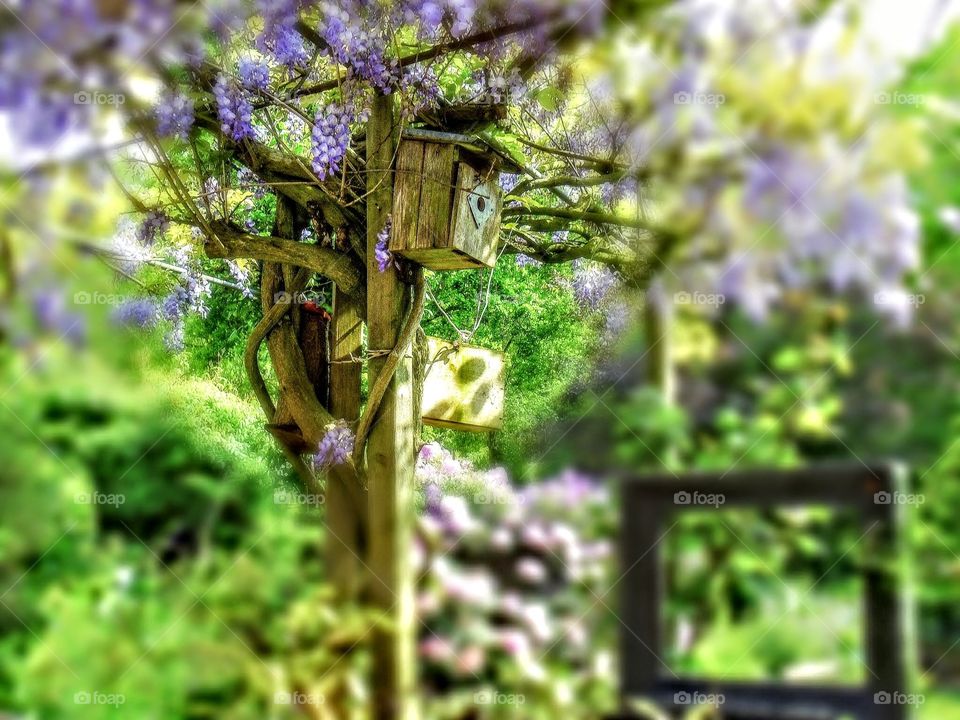 Best house in the garden