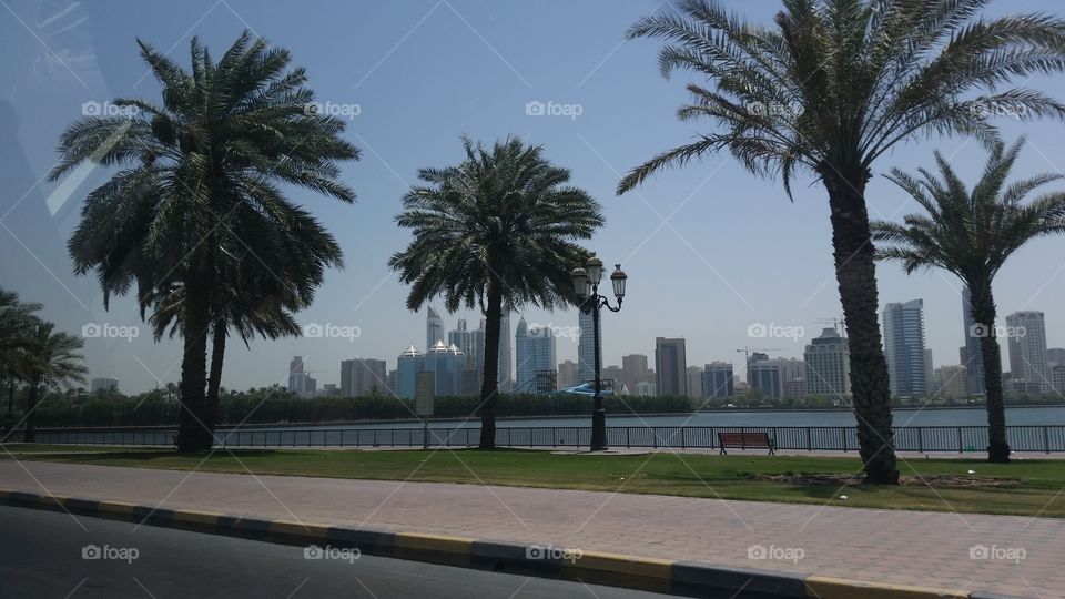 Sharjah Road View