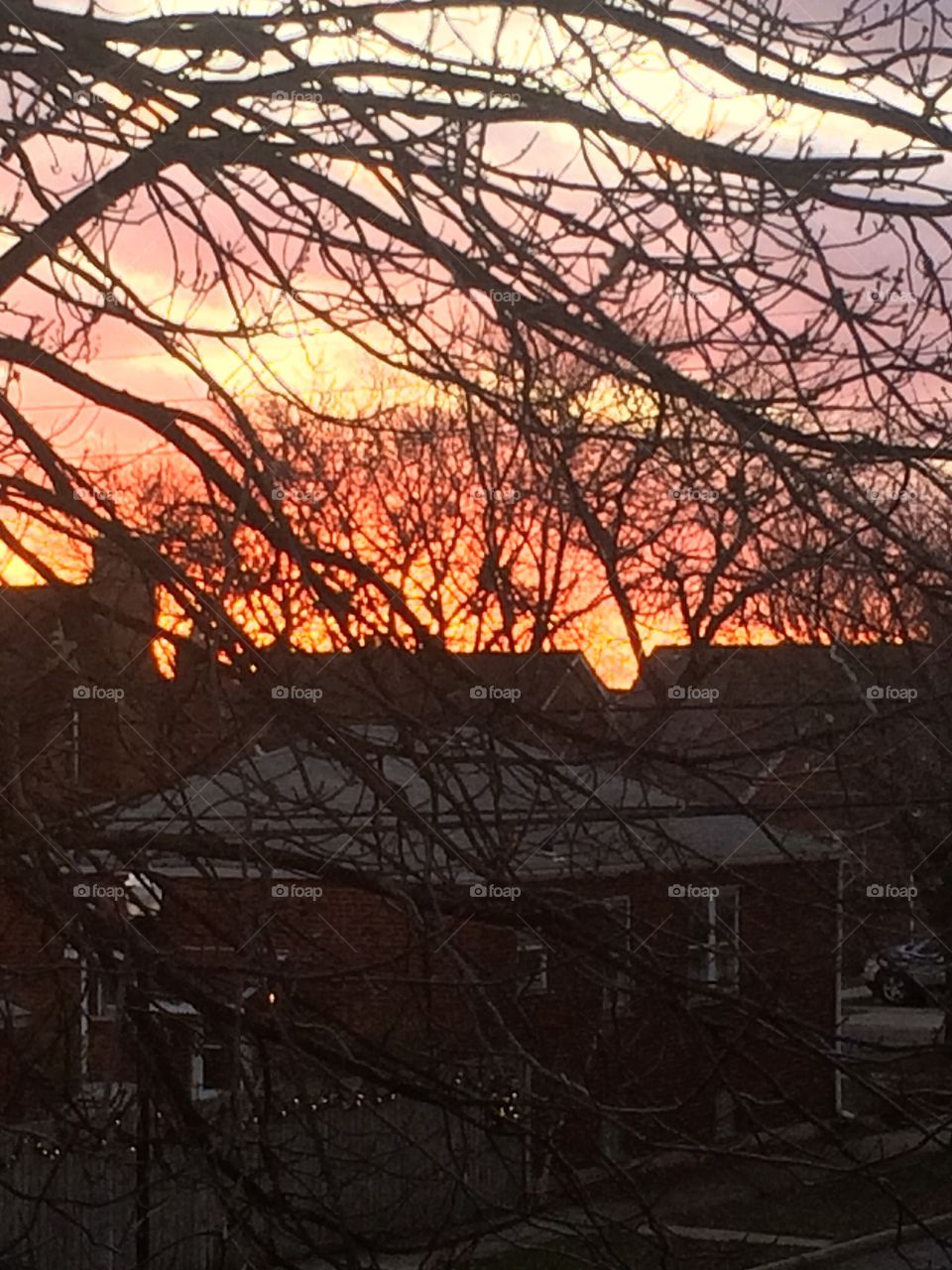 Sunset through the trees 