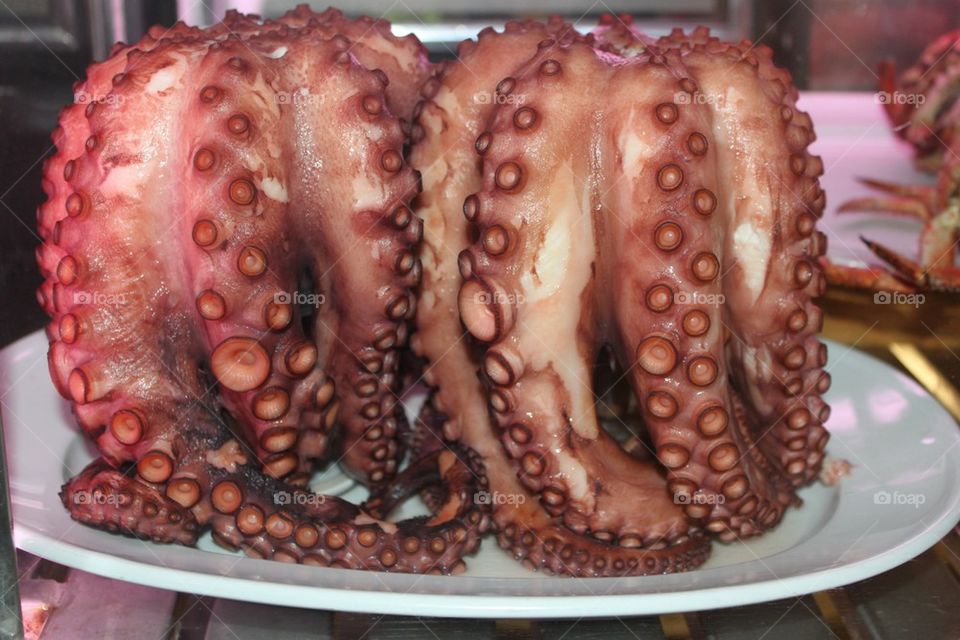 Octopus 