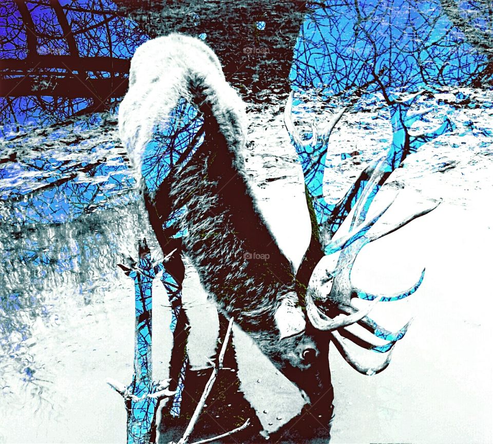 reflection. pictures taken the same day last winter