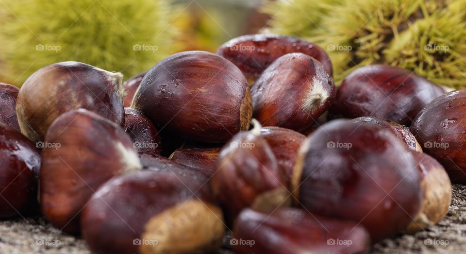Close up of chestnuts, with spiky green cases behind them