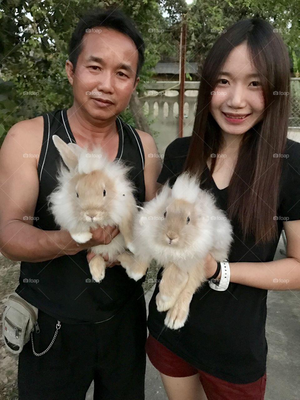 Rabbit +Lion 