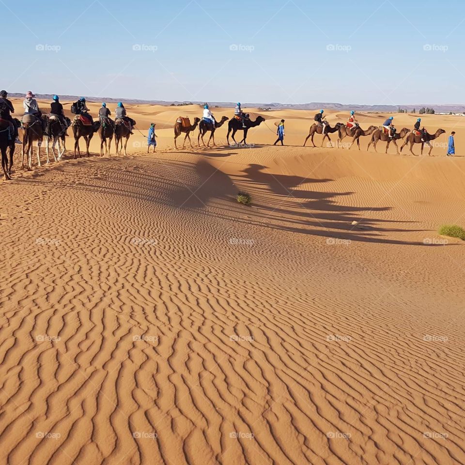 Riding camel is a wonderful experience