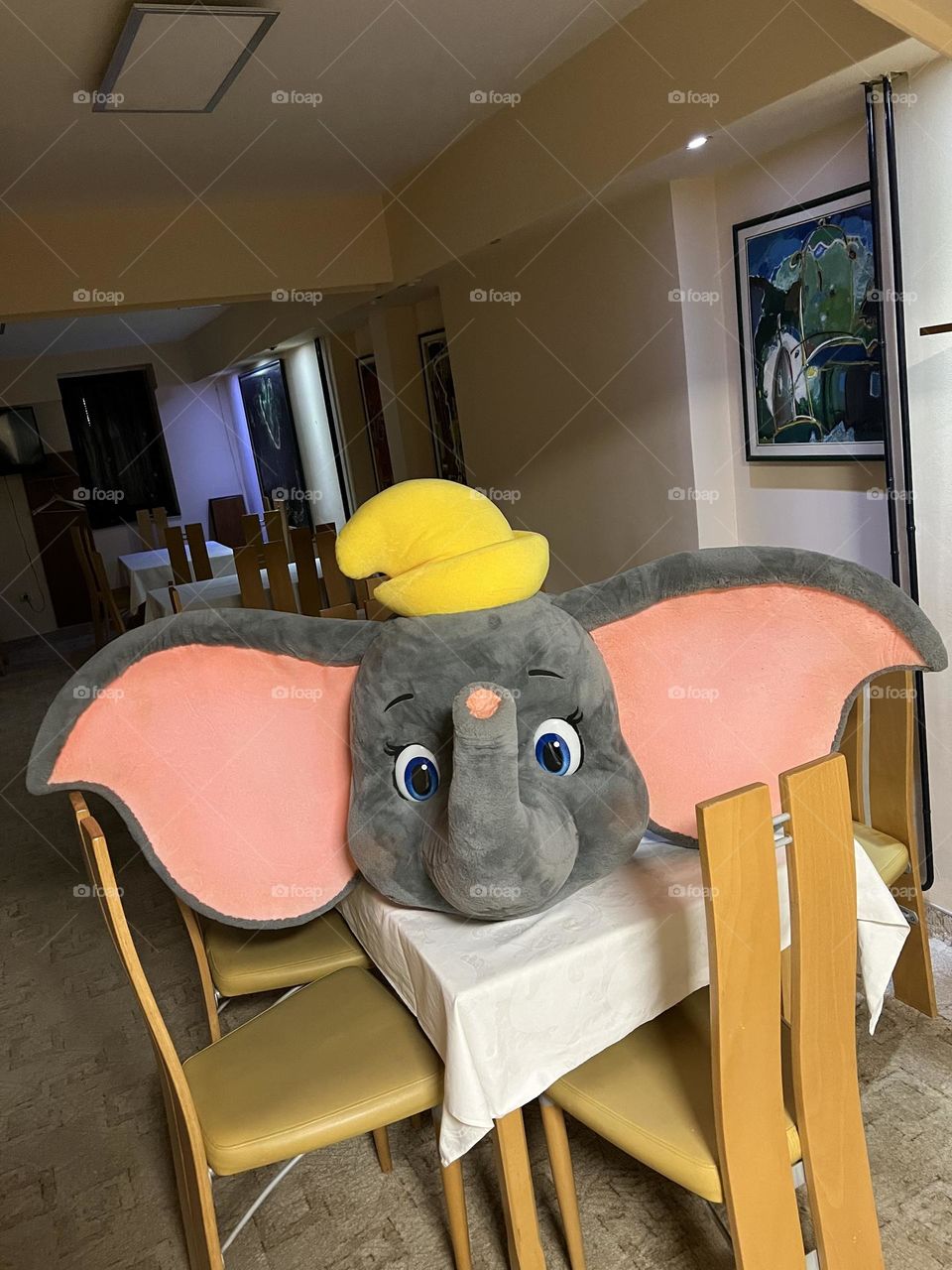  elephant Dambo♥️