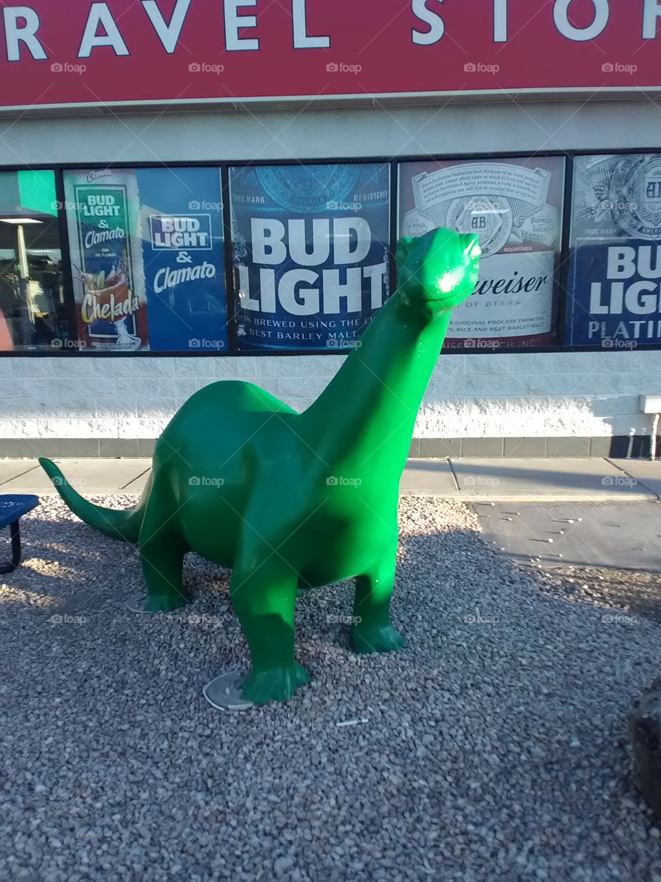 going to Arizona to see my in-laws.so we drop by a gas station and I saw this green dinosaur and I thought the shape and color was very cool. so I had to take a picture of it