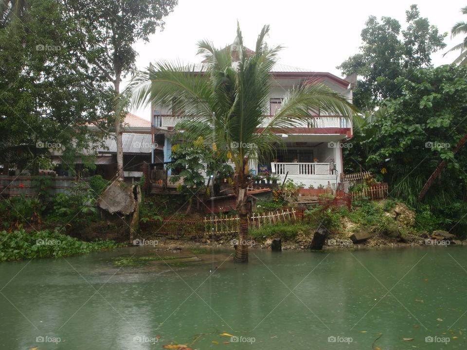 Water, Tropical, No Person, Travel, Tree