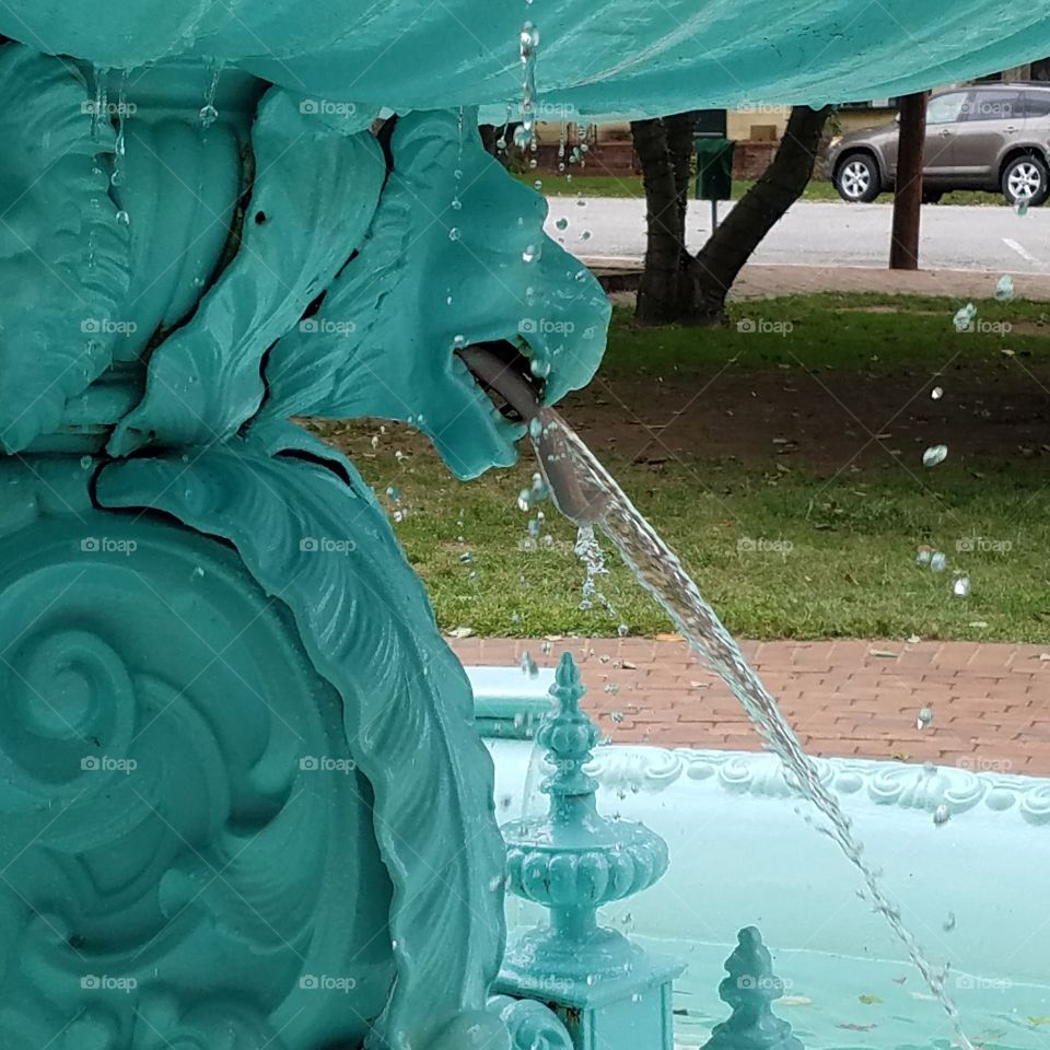 Lion Water Fountain Detail
