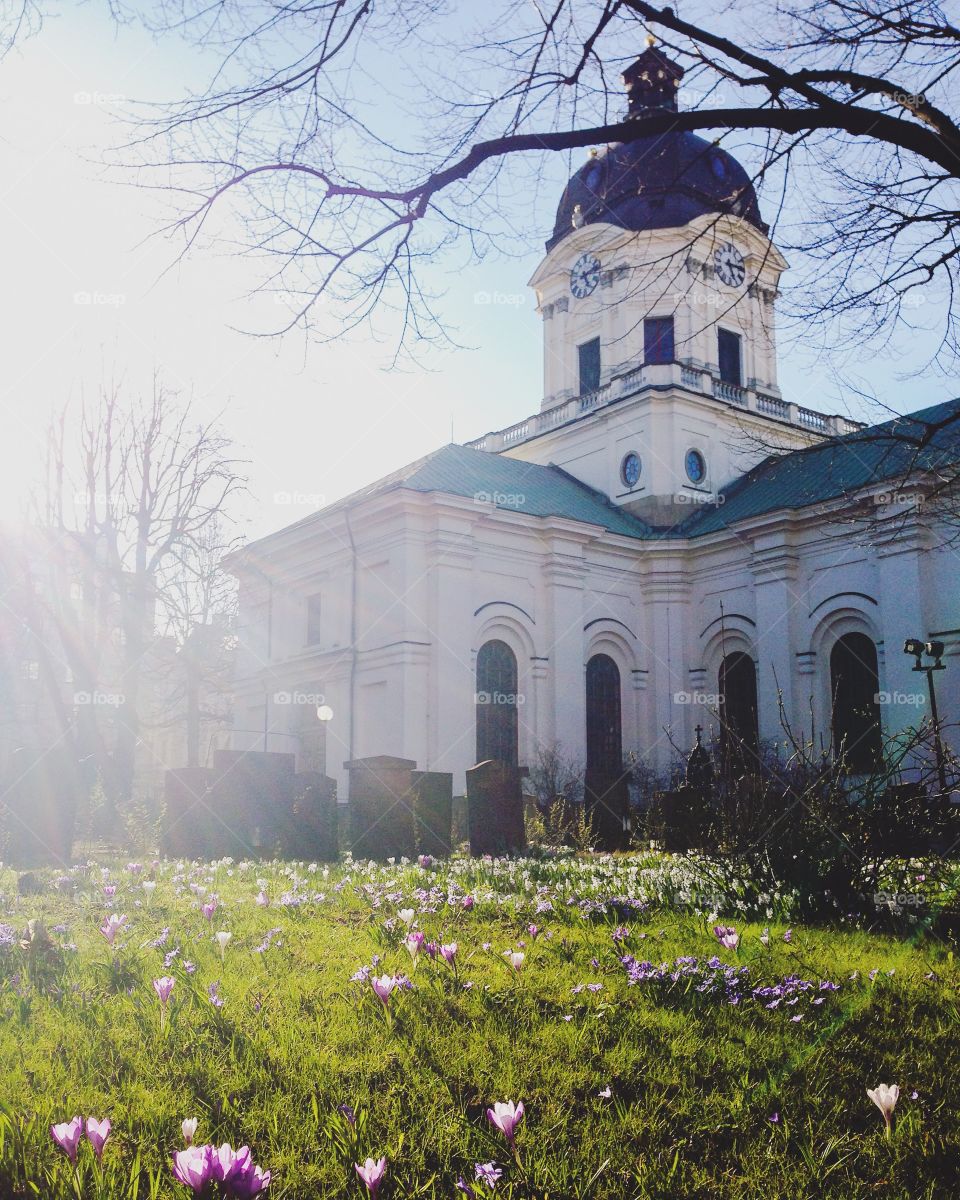 adolf fredrik church spring