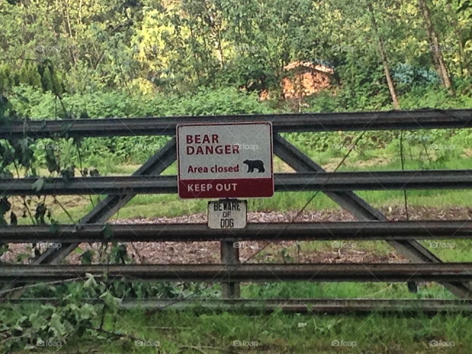 Bear danger and beware of dog signs...really?!?. In other words, "keep out!"