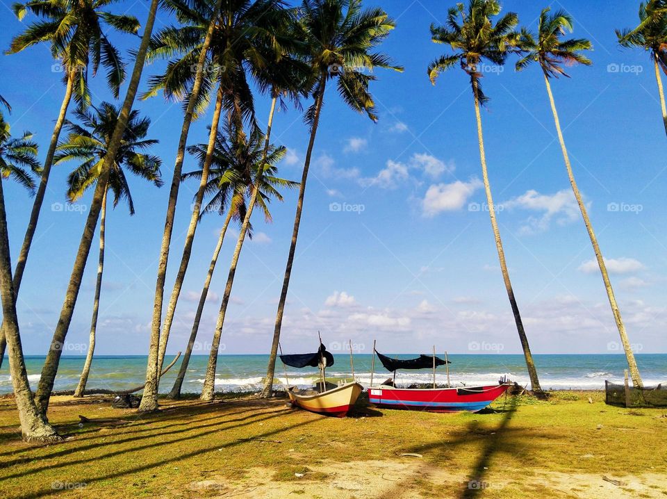 Boats on the seaside.