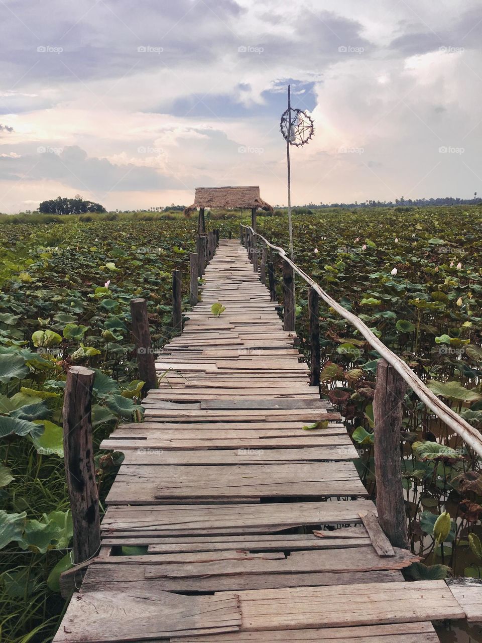 Beautiful place in Cambodia