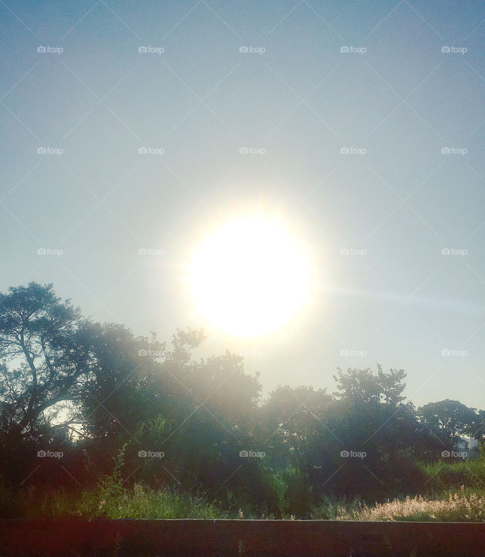 🌅Desperte, #Jundiaí.
Que a #QuintaFeira possa valer a pena!
🍃🙌🏻
#sol #sun #sky #céu #photo #nature #morning #alvorada #natureza #horizonte #fotografia #pictureoftheday #paisagem #inspiração #amanhecer #mobgraphy #mobgrafia 