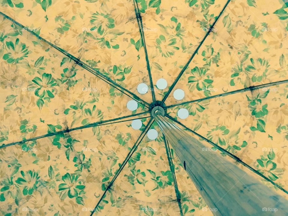 Beach Umbrella