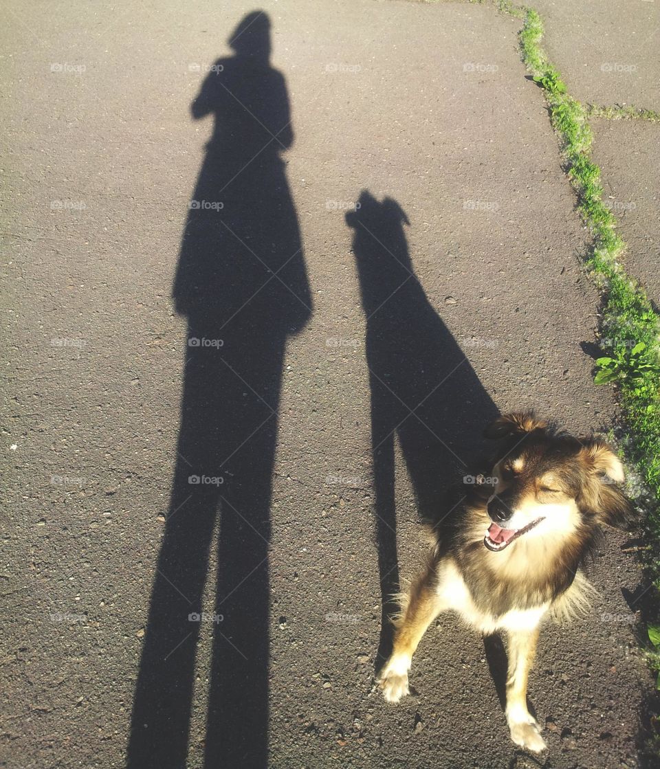 walking with dog