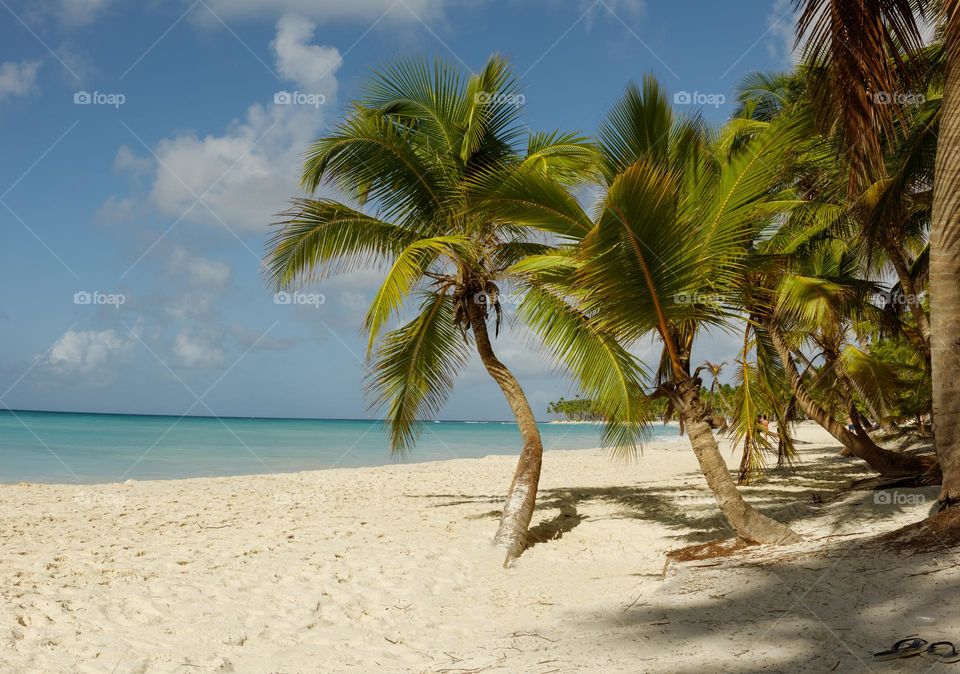 Dominican Republic sunny sandy ocean coast
