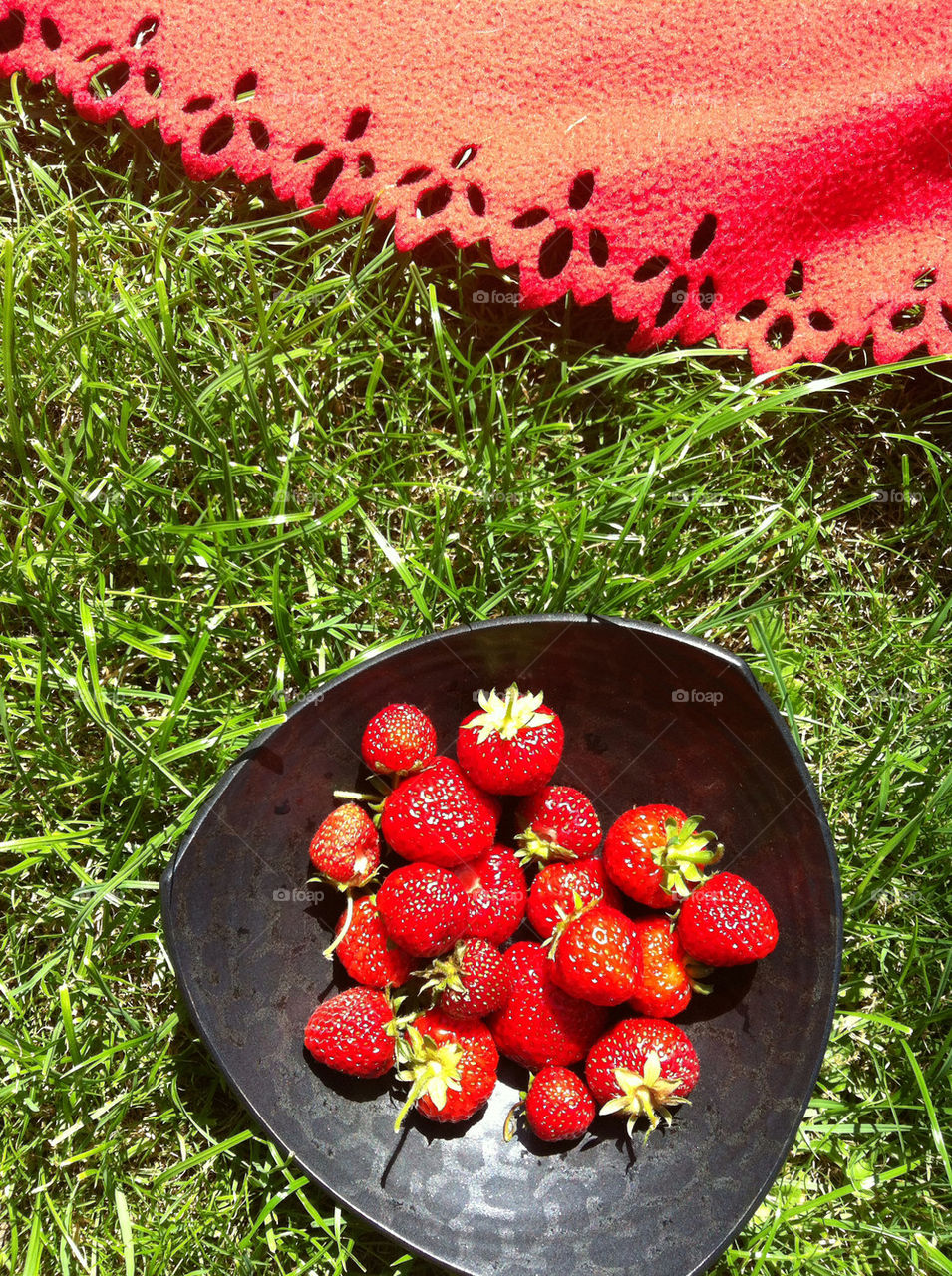 strawberries jordgubbar by lenah