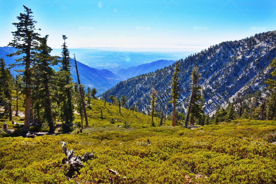 A View From Mt. Baldy