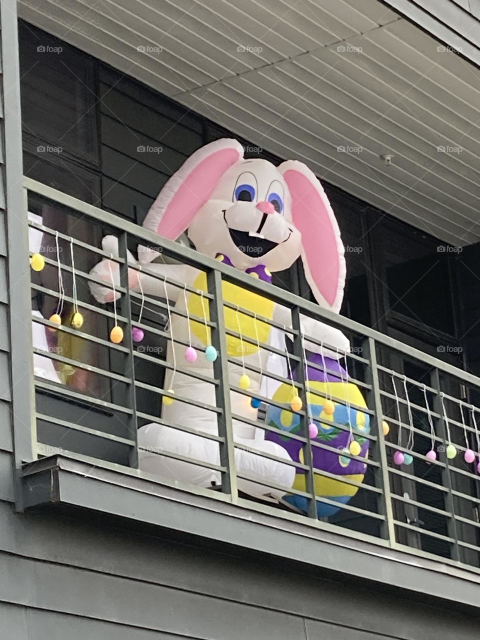 Easter Bunny Fun