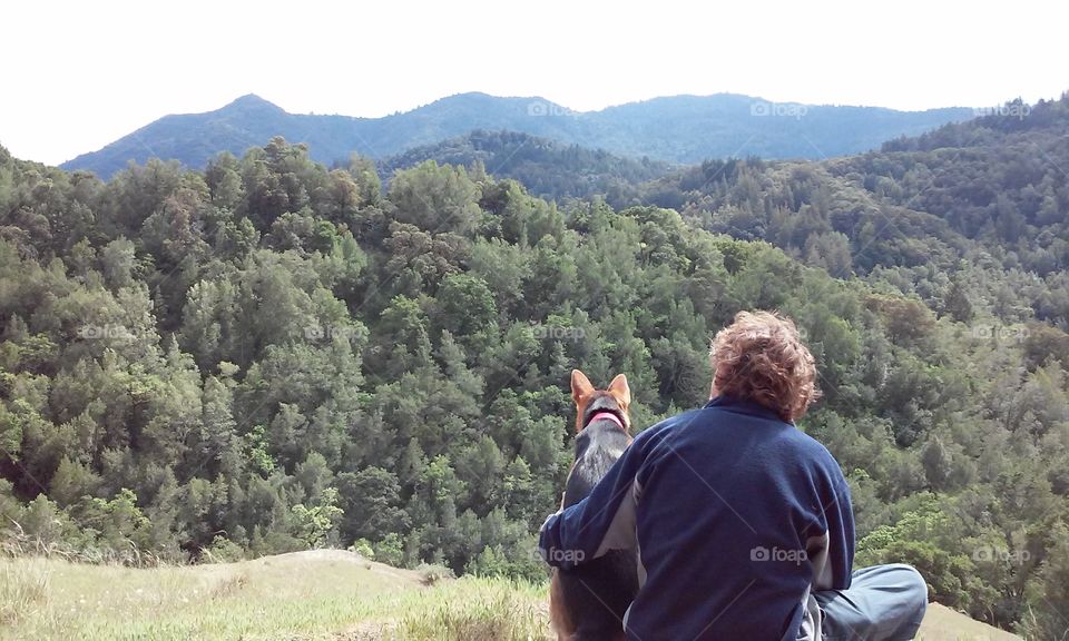 spring hike with the dog. hiking in Marin county looking at Mt. Tam