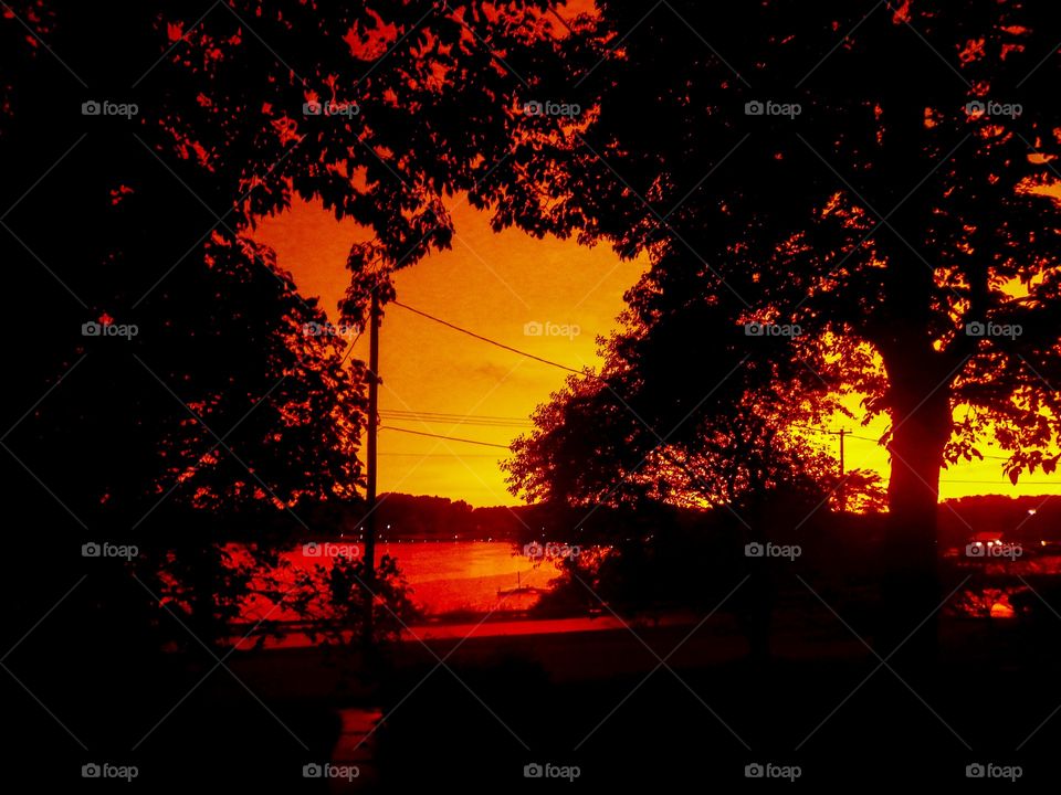 Sunset from the trees