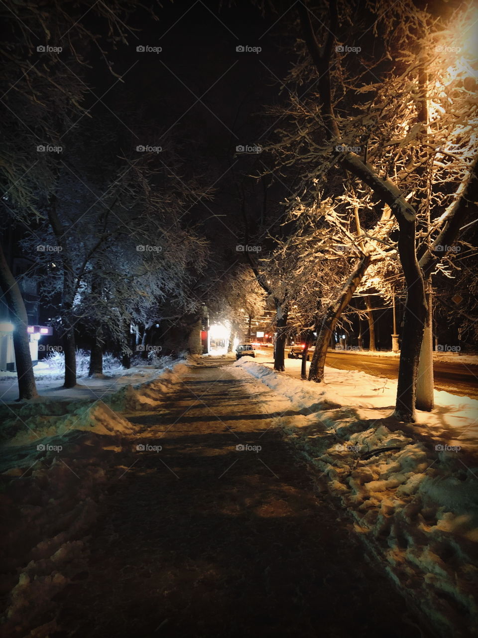 Since we've no place to go Let it snow, let it snow, let it snow ❄️
© F.Sinatra