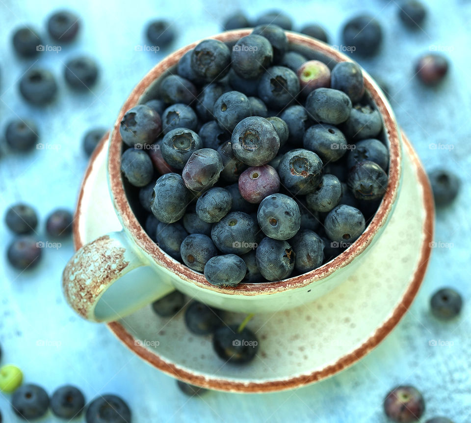 cup with blueberries