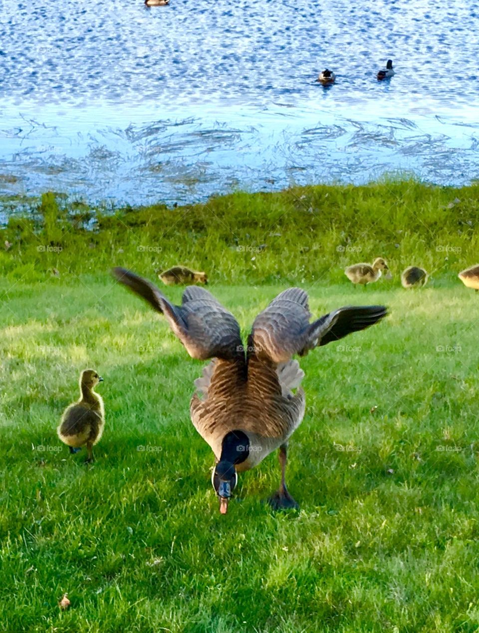 I guess I got too close!