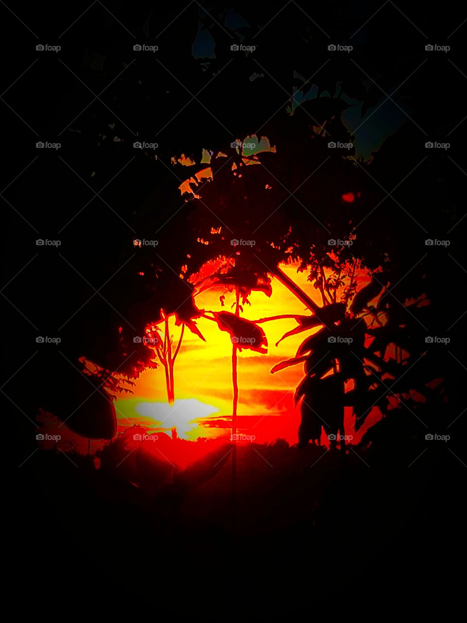 A Very Beautiful Evening Time Nature, With Sunset,  Under The Tree.