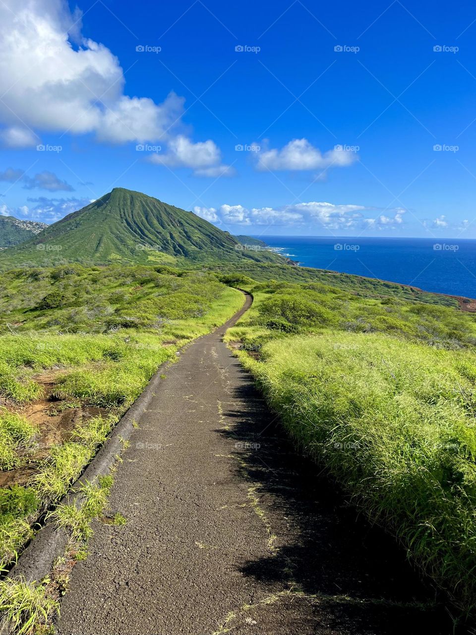 Walking down the Hanauma Bay Ridge Trail in Hawaii Kai