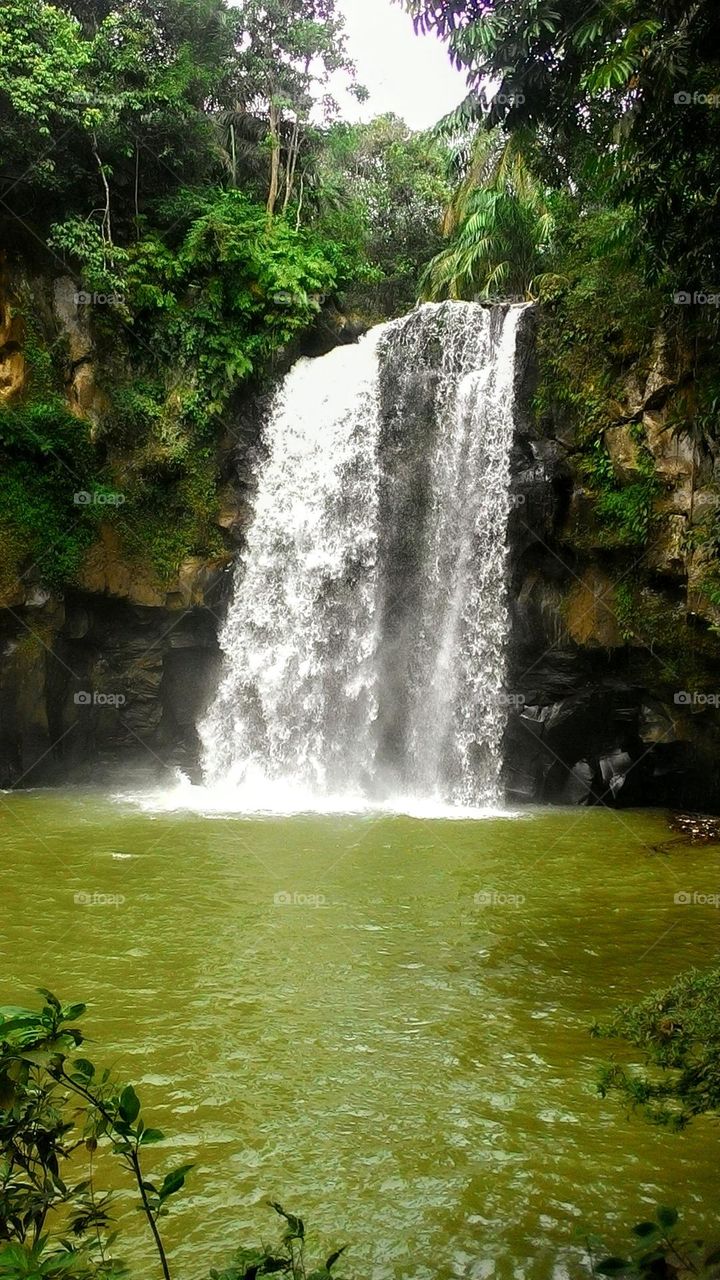 The view of the waterfall in the forest is very beautiful
