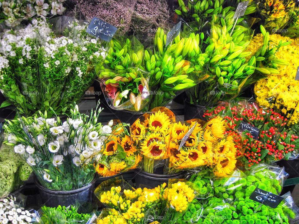 Flower market Paris 